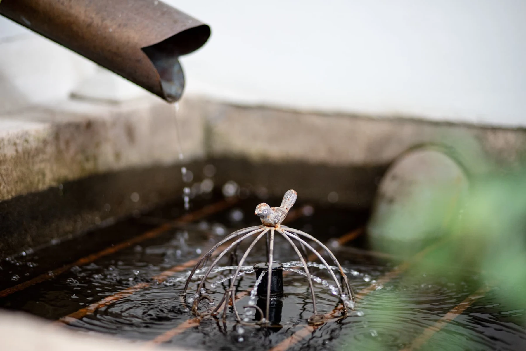 L'eau de la gouttière tombe dans le bassin où veille le petit oiseau en métal