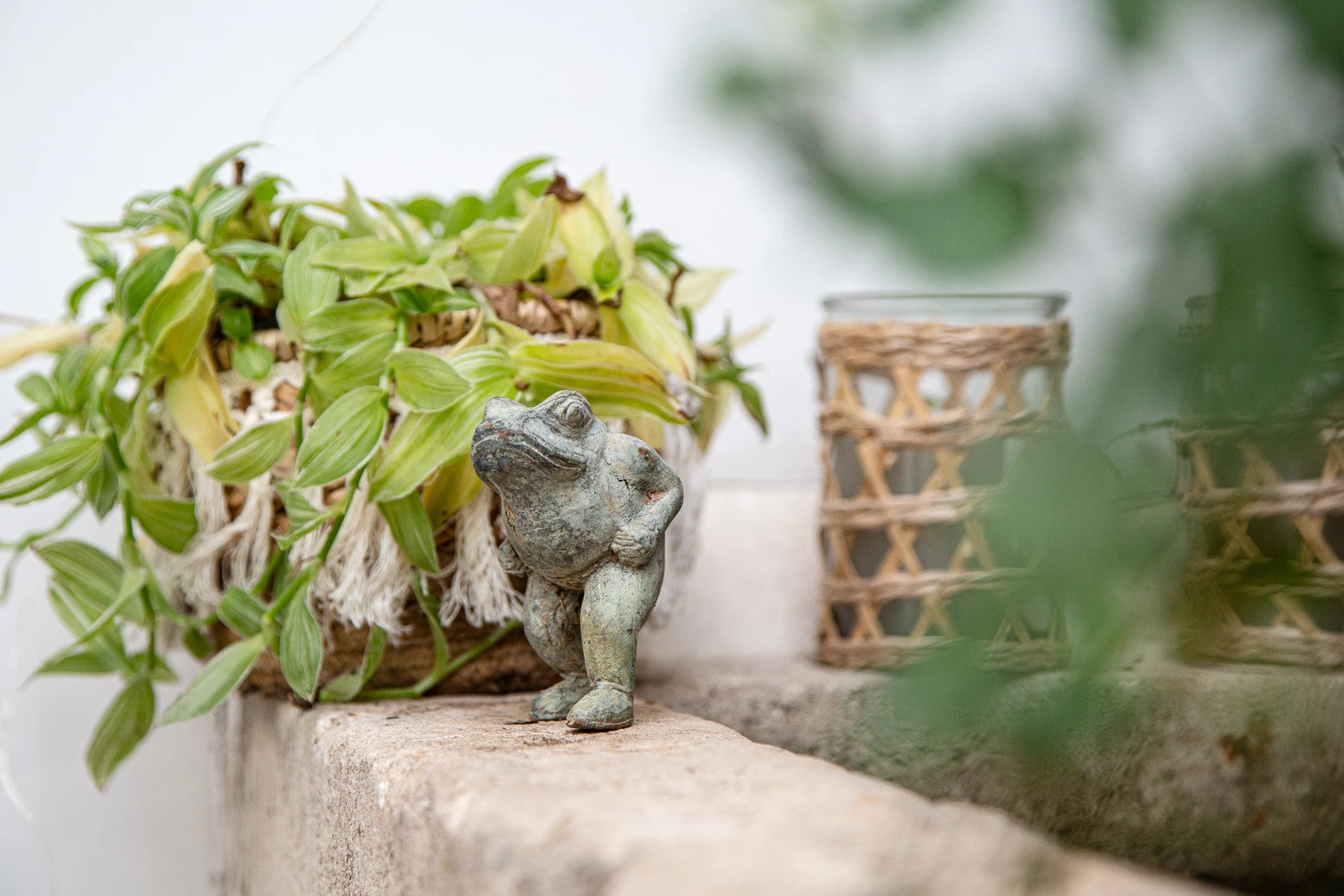 Petite grenouille en fonte posée au bord d'un bassin, au milieu des plantes